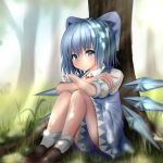  1girl absurdres blue_dress blue_eyes blue_hair blush bow cirno crossed_arms dress eyebrows_visible_through_hair grass hair_bow highres ice ice_wings looking_at_viewer naganegi_(yvee2588) puffy_short_sleeves puffy_sleeves shoes short_hair short_sleeves sitting smile socks solo touhou white_legwear wings 