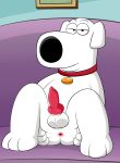  anthro anus balls brian_griffin canid canine canis collar domestic_dog family_guy feral fur furniture genitals hand_on_butt hi_res knot looking_at_viewer looking_pleasured male male/male mammal penis red_penis smile sofa solo spread_anus spreading white_body white_fur 