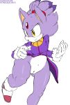 amber_eyes anthro argento blaze_the_cat bottomless clothed clothing domestic_cat edit felid feline felis female genitals habbodude hair hi_res mammal multicolored_hair navel pussy sega solo sonic_the_hedgehog_(series) two_tone_hair wide_hips 