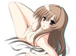  breasts brown_eyes brown_hair kakesu long_hair lying medium_breasts nipples nude seto_no_hanayome seto_sun solo 