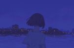  1girl back city_lights cityscape commentary_request highres light_reflection_(water) night night_sky original reflection reflective_water scenery shirt short_hair sky solo star_(sky) upper_body water white_shirt yean 