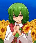  1girl ascot bangs blue_sky bright_pupils closed_mouth collared_shirt commentary_request expressionless field flower flower_field garden_of_the_sun green_hair hair_between_eyes highres holding holding_flower interlocked_fingers kazami_yuuka kide_koushin long_sleeves looking_at_viewer outdoors own_hands_together plaid plaid_vest red_eyes red_vest shirt short_hair sky solo sunflower touhou upper_body vest white_pupils white_shirt yellow_ascot yellow_flower 