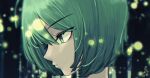  1girl antennae bangs closed_mouth commentary_request expressionless eyebrows_visible_through_hair face green_eyes green_hair hair_between_eyes highres nukojinuko short_hair signature solo touhou wriggle_nightbug 