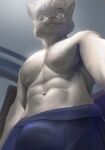  anthro bara_tiddies blue_clothing blue_underwear boxer_(disambiguation) clothing domestic_cat felid feline felis fur green_eyes grey_body grey_fur hi_res male mammal muscular muscular_anthro muscular_male nipples selfie smile stampmats underware underwear 