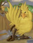  absurd_res ambiguous_gender animal_genitalia anthro avian chocobo claws cloaca conditional_dnp duo feathers feces final_fantasy genitals hi_res scat solo_focus square_enix video_games wolftacos yellow_body yellow_feathers 