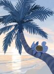  absurdres beach cloud highres hyogonosuke lying morning no_humans ocean on_stomach outdoors palm_tree pokemon pokemon_(creature) sand sky sleeping solo sunrise tail tree wartortle water 