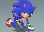  4_ira anthro blush bodily_fluids cum cum_on_ground eulipotyphlan genital_fluids genitals hedgehog male mammal masturbation penile penile_masturbation penis sega solo sonic_the_hedgehog sonic_the_hedgehog_(series) 