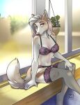  2018 anthro blurred_background canid canine canis clothing colored colored_nails digital_media_(artwork) domestic_dog female fur hair inktiger inside legwear lingerie mammal multicolored_hair nails nature nature_background pattern_clothing pattern_topwear pattern_underwear pink_eyes pink_hair reign_(scfiii) shaded sitting solo spots spotted_body spotted_fur stockings topwear translucent translucent_clothing translucent_legwear translucent_stockings underwear watermark white_hair white_nails 