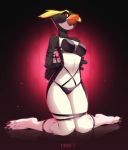  2019 anthro avian beak bird bound closed digital_media_(artwork) female kneeling kyander orange_beak penguin red_eyes simple_background solo 