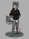  anthro blue_eyes briefs canid canine canis clothing fur grey_body grey_fur hi_res hoodie hoodie/briefs_meme looking_at_viewer male mammal simple_background solo standing sweaciabic topwear underwear wolf zach_the_wolf 