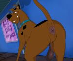  absurd_res anthro anus balls canid canine canis collar domestic_dog feral genitals hanna-barbera hi_res looking_at_viewer male male/male mammal scooby-doo scooby-doo_(series) smile solo thick_thighs 