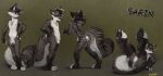  anthro balls biped black_body black_claws black_ears black_eyebrows black_fur black_hair black_nose black_pawpads black_tail butt claws dipstick_tail eyebrows front_view fur genitals glistening glistening_pawpads grey_body grey_fur grey_tail hair hand_on_hip inner_ear_fluff leg_markings legs_up lying male markings multicolored_hair narrowed_eyes navel nipples nude on_back oselotti pawpads penis penis_tip plantigrade presenting presenting_hindquarters rear_view signature simple_background smile smirk socks_(marking) solo standing striped_legs tail_markings toeless_(marking) tuft two_tone_hair white_balls white_body white_fur white_hair white_inner_ear_fluff white_sheath white_tail white_toes yellow_eyes 