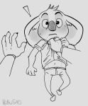  anthro bottomwear buster_moon claws clothing exclamation_point hi_res illumination_entertainment invalid_tag jimmy_crystal koala male mammal marsupial nikusad pants signature sing_(movie) solo surprise vombatiform 