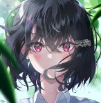  1girl absurdres artist_name backlighting bangs black_hair blurry blush collared_shirt depth_of_field eyebrows_visible_through_hair eyelashes hair_between_eyes highres hope_(ozeusama3983) looking_at_viewer overexposure portrait red_eyes shameimaru_aya shiny shiny_hair shirt short_hair solo straight-on touhou wind 