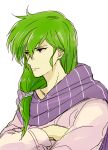  1boy bangs commentary_request crossed_arms fire_emblem fire_emblem:_genealogy_of_the_holy_war green_eyes green_hair hair_between_eyes lewyn_(fire_emblem) long_hair long_sleeves low-tied_long_hair male_focus purple_scarf saichi_(meme+) scarf shirt simple_background solo upper_body white_background white_shirt 