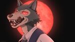  2022 anthro beastars blood blood_moon bodily_fluids canid canine canis clothing fur hi_res legoshi_(beastars) male mammal netflix red_eyes sharp_teeth solo teenager teeth tongue tongue_out topwear twistedhound wolf young 