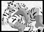  2022 anthro balls belly big_belly clothing felid genitals humanoid_hands itachi_guma kemono lying male mammal moobs nipples overweight overweight_male pantherine solo tiger underwear 