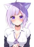  1girl absurdres ahoge animal_ears bangs black_collar breasts cat_ears cleavage closed_mouth collar collared_shirt highres hololive large_breasts looking_at_viewer nekomata_okayu purple_eyes purple_hair shinonome_asu shirt short_hair simple_background solo upper_body virtual_youtuber white_background white_shirt 