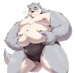  2022 anthro belly big_belly blush bulge canid canine clothing grey_body hi_res jumperbear kemono male mammal moobs nipples overweight overweight_male simple_background solo underwear 