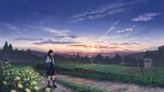  1girl bangs black_footwear black_hair blue_necktie blue_skirt cloud cloudy_sky commentary_request field long_hair necktie original outdoors pleated_skirt rural scenery school_uniform shirt shurock skirt sky star_(sky) starry_sky sun sunset white_shirt 