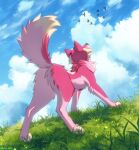  adelar_elric avian bird canid canine canis cloud featureless_crotch feral fur grass hi_res looking_up mammal pink_body pink_fur plant raised_tail rear_view solo wolf 