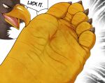  accipitrid accipitriform anthro avian barefoot beak bird black_body black_claws bodily_fluids claws digital_media_(artwork) eagle feet foot_fetish foot_focus fur hi_res male open_mouth simple_background smelly smelly_feet smile soles solo sweat tan_(artist) text toes tongue yellow_eyes yellow_feet 