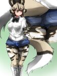  1girl african_wild_dog_(kemono_friends) african_wild_dog_print animal_ears arm_at_side arm_behind_back ass bangs black_bow black_hair blue_shorts bodystocking boots bow bowtie breast_pocket breasts brown_eyes closed_mouth commentary_request cross-laced_footwear crossed_legs cutoffs denim denim_shorts dog_ears dog_girl dog_tail eyebrows_visible_through_hair feet_out_of_frame grey_hair highres isna_(footprintsofisna) kemono_friends lace-up_boots large_breasts layered_sleeves legs_together long_sleeves looking_to_the_side lower_body medium_hair multicolored_hair multiple_views parted_bangs pocket print_sleeves shirt short_over_long_sleeves short_shorts short_sleeves shorts skin_tight smile tail two-tone_hair underbutt walking white_footwear white_shirt 