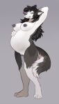  2019 alaskan_malamute anthro belly big_belly black_hair blue_eyes breasts canid canine canis domestic_dog female fur genitals grey_background grey_body grey_fur hair hand_on_stomach hands_behind_head hi_res hoot_(artist) kanna_(slither) looking_at_viewer mammal nipples nordic_sled_dog nude pregnant pregnant_female pussy simple_background solo spitz standing white_body white_fur 