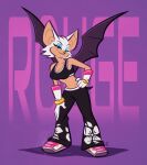  anthro chiropteran clothed clothing female hi_res mammal nicnak044 rouge_the_bat sega solo sonic_riders sonic_the_hedgehog_(series) wings 