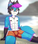  abs absurd_res anthro athletic beach black_body black_fur black_hair black_nipples blaki_daniel_raiper_virod_(blaki_raiper) blaki_raiper blue_body blue_fur bottomwear canid canine clothed clothing collar digital_media_(artwork) fox fur hair hi_res looking_at_viewer male mammal navel nipples pink_body pink_fur pink_hair red_bottomwear red_clothing red_shorts sand sea seaside shaded shorts sitting smile soft_shading solo swimwear venezuela water 