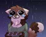  ailurid anthro big_eyes bodily_fluids eyelashes eyewear female frackhead humor mammal mocha_(frackhead) raining red_panda solo solo_focus sweets tears 