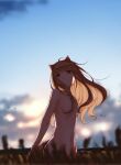  1girl animal_ears ayakura_juu backlighting breasts brown_hair cloud commentary_request completely_nude cowboy_shot dawn expressionless holo horizon long_hair looking_at_viewer nude official_art red_eyes sky small_breasts solo spice_and_wolf sunlight tail wheat wolf_ears wolf_girl wolf_tail 
