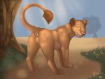  all_fours anus butt disney felid female feral genitals half-closed_eyes hi_res lion looking_at_viewer looking_back mammal narrowed_eyes nauticalcanine outside pantherine presenting presenting_hindquarters pussy raised_tail sarabi solo the_lion_king 