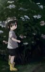  1girl :d alternate_costume animal_ear_fluff animal_ears bangs black_eyes black_hair boots commentary common_raccoon_(kemono_friends) extra_ears fang flower full_body grass hair_between_eyes highres hydrangea kemono_friends looking_at_viewer nanana_(nanana_iz) open_mouth outdoors raccoon_ears raccoon_girl raccoon_tail shirt short_hair short_sleeves skin_fang smile solo tail white_shirt yellow_footwear younger 