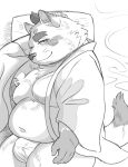  2022 anthro bed belly big_belly blush bulge canid canine clothed clothing furniture hi_res humanoid_hands hysk kemono lying male mammal moobs nipples open_clothing open_robe overweight overweight_male pillow robe solo underwear 