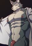  abs anthro beastars canid canine canis clothing croiyan genitals legoshi_(beastars) male mammal muscular muscular_male navel nipples pecs penis solo undressing wolf 