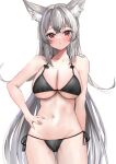 1girl absurdres animal_ear_fluff animal_ears bare_arms bare_shoulders bikini black_bikini breasts cleavage cowboy_shot grey_hair halter_top halterneck hand_on_hip highres large_breasts long_hair looking_at_viewer navel nemun_(tamizzz) original parted_lips red_eyes side-tie_bikini solo stomach string_bikini swimsuit thighs very_long_hair 