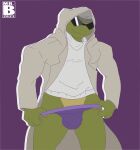  anthro bulge clothing donatello_(tmnt) hi_res jockstrap male mr.brapion muscular pinup pose reptile scalie solo teenage_mutant_ninja_turtles turtle underwear 