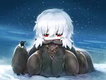  1boy animal bangs bird black_cloak blue_sky cloak commentary_request eyebrows_visible_through_hair fur-trimmed_cloak fur_trim hair_between_eyes male_focus mtyy outdoors pale_skin penguin red_eyes sky snow snowing solo tsukihime v-shaped_eyebrows vlov_arkhangel white_hair 