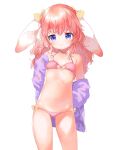  1girl :3 animal_ears bikini blush bow bow_bikini breasts commentary_request cowboy_shot hair_bow highres jacket long_hair looking_at_viewer mutou_mato off_shoulder open_clothes open_jacket original pink_background pink_hair purple_eyes purple_jacket simple_background sketch small_breasts smile swimsuit wavy_hair white_background 