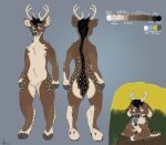  absurd_res anthro antlers aster black_hair blue_eyes blush brown_body brown_fur cervid chibi color_swatch flower fur grass hair hi_res hooves horn male mammal markings model_sheet nexz plant simple_background smile solo spots spotted_body spotted_fur spotted_markings text tree_stump 