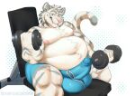  anthro belly big_belly clothed clothing clovishusky erection erection_under_clothing exercise felid fur male mammal muscular overweight pantherine solo strongfat tenting tiger underwear weightlifting white_body white_fur workout 