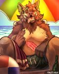  ball beach beach_ball bottle brown_body brown_fur brown_nose bulge canid clothed clothing digital_media_(artwork) food fur gesture happy hi_res holding_object inflatable inner_ear_fluff mammal narrowed_eyes neck_tuft open_mouth open_smile outside pagrynga popsicle popsicle_melting sea seaside shirtless_anthro shirtless_male sitting skimpy sky smile squint swimming_trunks swimwear tan_body tan_fur teeth tongue tongue_out towel towel_on_lap tuft umbrella v_sign water whiskers 