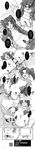  3boys amasawa_yuuko breasts cum cum_in_pussy dennou_coil gachaguri greyscale hetero highres kyuu-chan long_image monochrome multiple_boys namecchi nekomata_naomi nipples penis pubic_hair pussy satchii sawaguchi_daichi sex small_breasts tall_image translation_request vaginal 