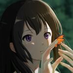  1girl bangs black_hair blurry blurry_background bug butterfly butterfly_on_hand cho_ryuu hibike!_euphonium kousaka_reina long_hair portrait purple_eyes solo 