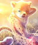  anthro blue_eyes cheetah felid feline field fur hi_res lens_flare male mammal morning solo sunrise wake_up yellow_body yellow_fur 