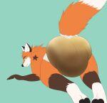  absurd_res all_fours anthro butt butt_focus canid canine diaper extremius_amphibious feces fox hi_res looking_at_viewer looking_back looking_back_at_viewer male mammal messing messy messy_diaper red_fox soiling solo tagme 