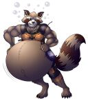  anthro belly big_belly bloated brown_body brown_fur eggo21 fur guardians_of_the_galaxy hi_res inflation male mammal marvel muscular muscular_male procyonid raccoon rocket_raccoon solo stuffing 
