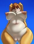  anthro big_breasts blush breasts female fiinel genitals hi_res lagomorph leporid looking_at_viewer mammal mature_female nipples nude perspective_shot pussy rabbit sega solo sonic_the_hedgehog_(series) vanilla_the_rabbit 