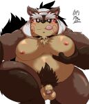  2022 absurd_res anthro balls belly big_belly brown_body brown_fur canid canine flaccid fur genitals hi_res humanoid_genitalia humanoid_hands humanoid_penis kemono male mammal momochi_sandayuu moobs ninja nipples overweight overweight_male penis pubes raccoon_dog sengoku_puzzle solo tanuki tongue tongue_out video_games warrior yamatoji201 